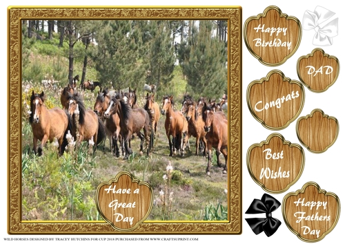 WILD HORSES BIRTHDAY AND NUMEROUS OTHER SENTIMENTS