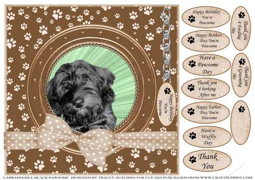 LABRADOODLE PAWSOME BIRTHDAY AND NUMEROUS OTHER SENTIMENTS