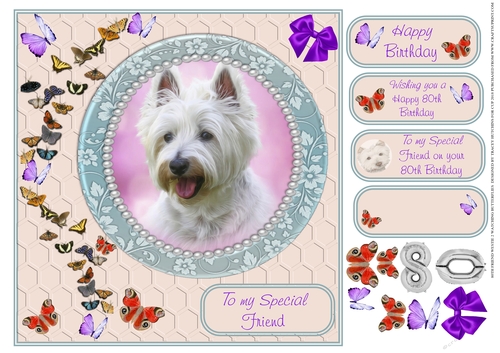 80TH SPECIAL FRIEND WESTIE WATCHING BUTTERFLIES 2