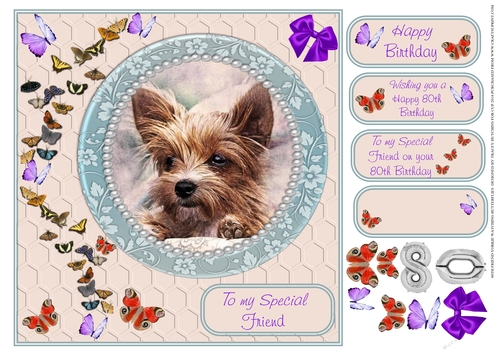 80TH SPECIAL FRIEND YORKIE WATCHING BUTTERFLIES 