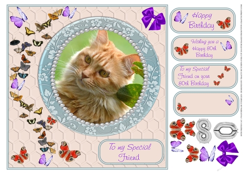 80TH SPECIAL FRIEND WATCHING BUTTERFLIES CAT 1