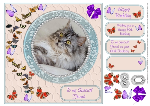 80TH SPECIAL FRIEND WATCHING BUTTERFLIES CAT 2