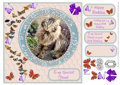 80TH SPECIAL FRIEND WATCHING BUTTERFLIES CAT 3