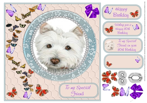 80TH SPECIAL FRIEND WESTIE WATCHING BUTTERFLIES 