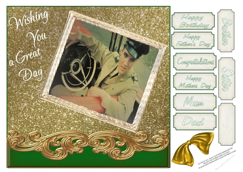 ELVIS IS ALL THAT GLITTERS MULTI SENTIMENT / RELATIVE