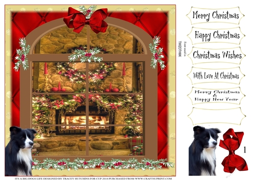 ITS A BIG DOGS LIFE 1 COLLIE