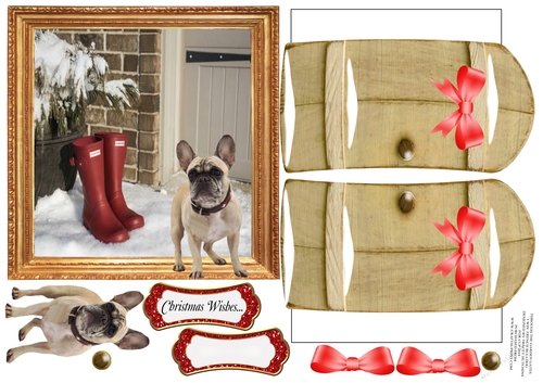 THROUGH THE GARDEN GATES, I WIN FRENCH BULLDOG