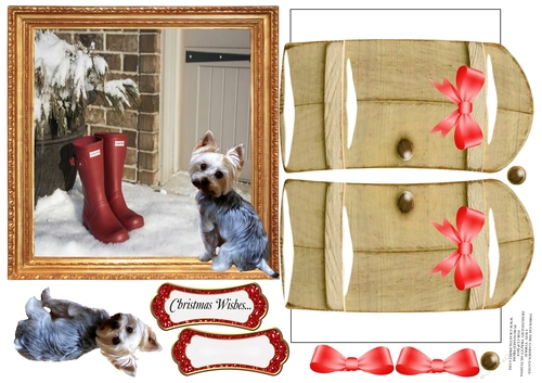 THROUGH THE GARDEN GATES, I WIN YORKIE