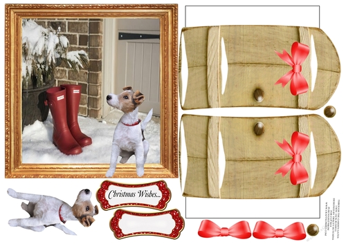 THROUGH THE GARDEN GATES, I WIN JACK RUSSELL