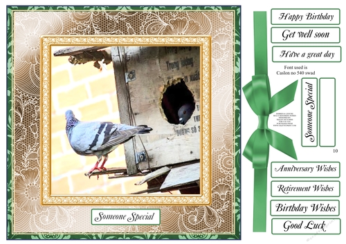HOBBIES AND LEISURE MULTI SENTIMENT COLLECTION 10 PIGEONS / DOVES