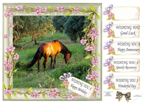 WISHING YOU HORSES MULTI SENTIMENT 1