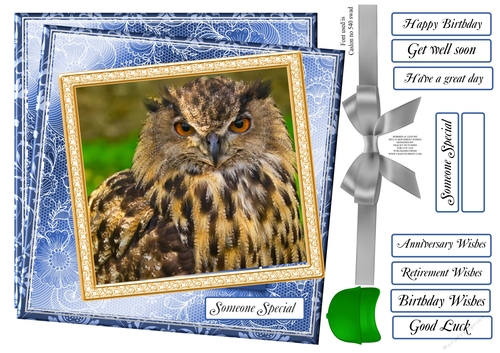 MULTI SENTIMENTS TAWNEY OWL