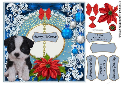 PUPPY CHRISTMAS KISSES BORDER COLLIE