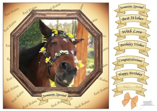 CHEEKY HORSE HEXAGON BEST WISHES MULTI SENTIMENTS 