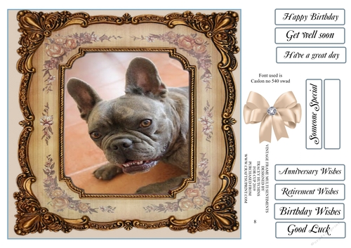VINTAGE FRAME FRENCH BULL DOG BLUE