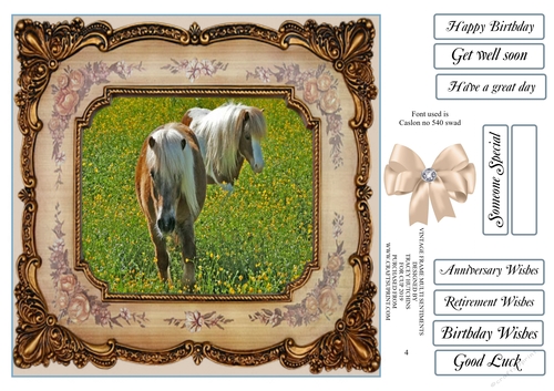 VINTAGE FRAME PALOMINO FAMILY