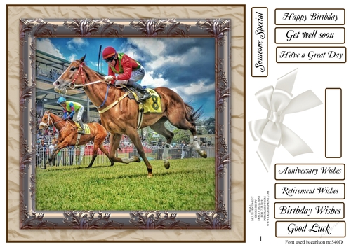 MALE MULTI SENTIMENTS - HORSE RACING
