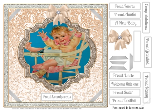 CONGRATULATIONS GRANDPARENTS AND OTHER FAMILY (UNISEX)