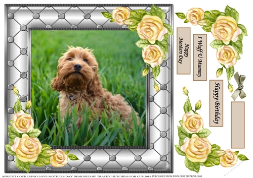 COCKERPOO MULTI SENTIMENT 1