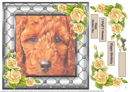 COCKERPOO MOTHERSDAY / BIRTHDAY 2