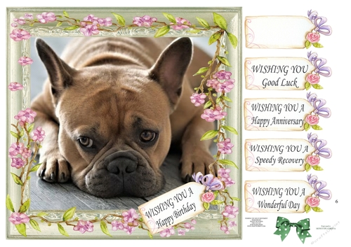 WISHING YOU MULTI SENTIMENTS FRENCH BULLDOG