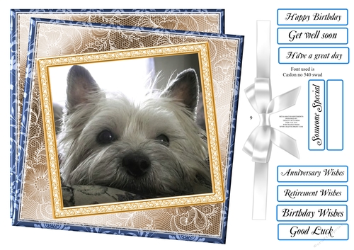 MIX n MATCH SENTIMENTS WONDERING WESTIE
