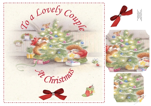 TO A LOVELY COUPLE AT CHRISTMAS 2