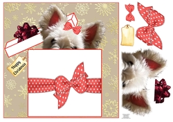 CHRISTMAS SURPRISE