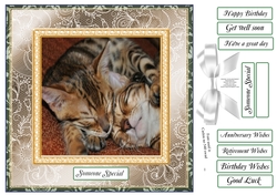 CHOOSE YOUR SENTIMENT KITTENS CUDDLES