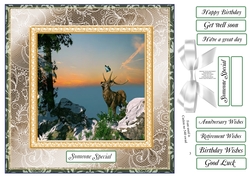 CHOOSE YOUR SENTIMENT MOUNTIN STAG