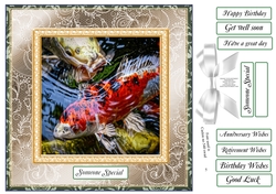 CHOOSE YOUR SENTIMENT DONT BE KOI