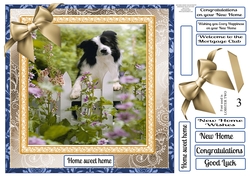 NEW HOME MULTI CHOICE SENTIMENT 4