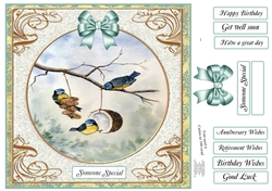 TRANQUIL MOMENTS 1 MULTI SENTIMENT
