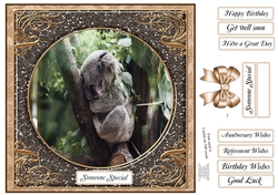 WALK ON THE WILD SIDE MULTI SENTIMENT KOALA 2