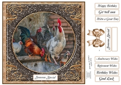 WALK ON THE WILD SIDE MULTI SENTIMENT CHICKENS