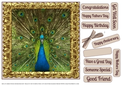 MULTI SENTIMENTS PEACOCK