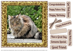 MULTI SENTIMENTS TABBY CAT