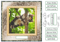 CHOOSE YOUR SENTIMENT CAT UP A TREE