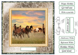 CHOOSE YOUR SENTIMENT HEARD OF HORSES