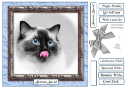PRETTY PETS CAT