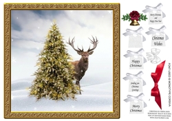 CHRISTMAS IS COMING SOON STAG