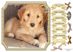 CUTE CANINES 15