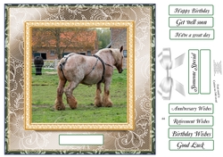 PICK YOUR SENTIMENT SHIRE HORSE