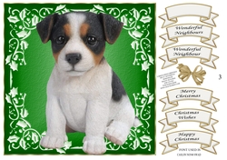 JACK RUSSELL CHRISTMAS MULTI SENTIMENT