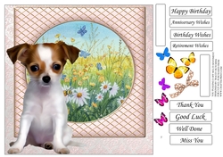 SHAGGY DOGS JACK RUSSEL