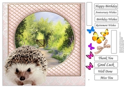 AND FRIENDS HEDGGEHOG MISC SENTIMENTS