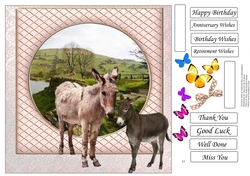AND FRIENDS DONKEYS MISC SENTIMENTS