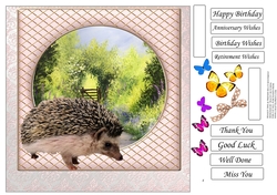 AND FRIENDS HEDGEHOG