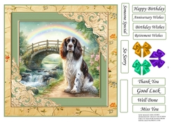 SHAGGY DOGS V2 SPANIEL