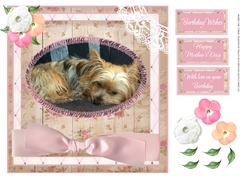 SHABBY CHIC YORKIE BIRTHDAY